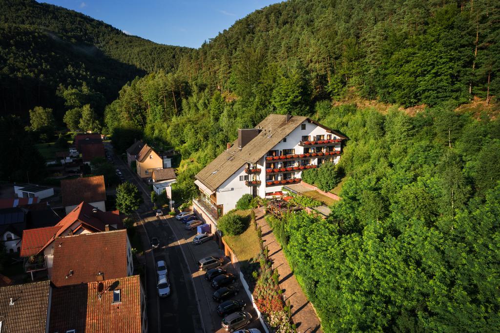 Hotel Die Kleine Blume Erfweiler Exteriér fotografie